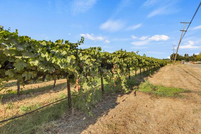 53140 S River Rd, Clarksburg, CA 95612