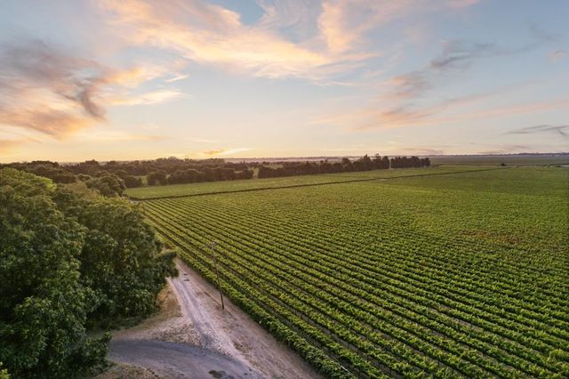 53140 S River Rd, Clarksburg, CA 95612