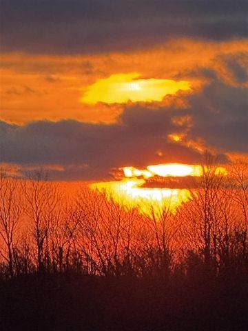 251 Stonecrest Drive, Shelby, MI 49455