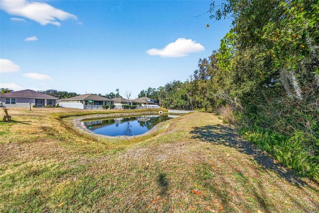 808 BRONZE BUSH COURT, Plant City, FL 33566