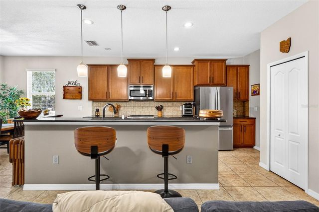 808 BRONZE BUSH COURT, Plant City, FL 33566