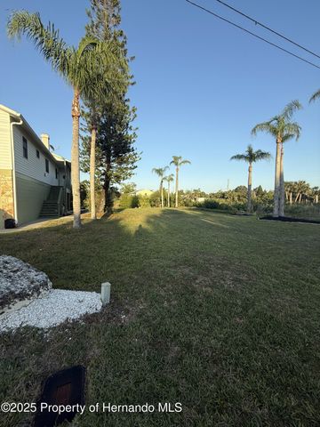 3338 Fernleaf Drive, Hernando Beach, FL 34607