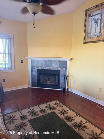 3338 Fernleaf Drive, Hernando Beach, FL 34607