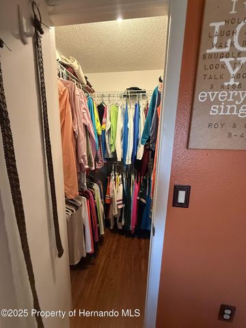 3338 Fernleaf Drive, Hernando Beach, FL 34607