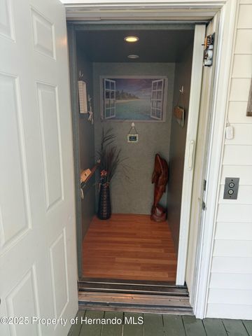 3338 Fernleaf Drive, Hernando Beach, FL 34607