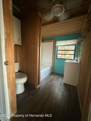 3338 Fernleaf Drive, Hernando Beach, FL 34607