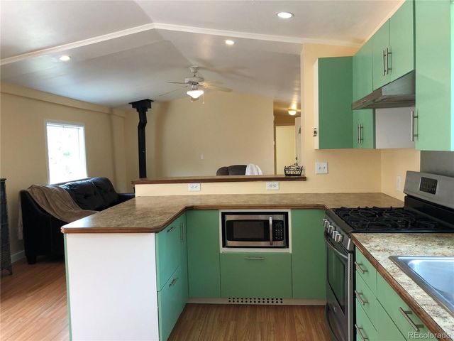 169 Daisy Street, Woodland Park, CO 80863