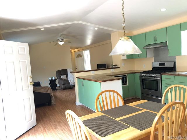 169 Daisy Street, Woodland Park, CO 80863