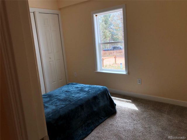 169 Daisy Street, Woodland Park, CO 80863