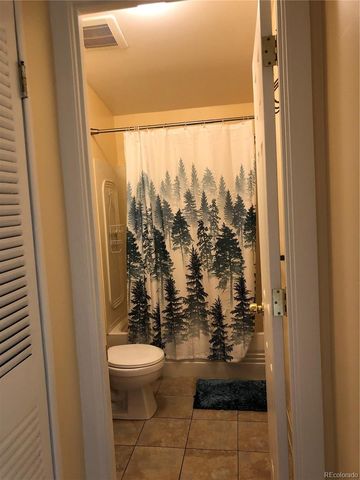 169 Daisy Street, Woodland Park, CO 80863