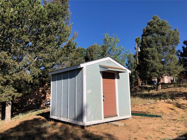 169 Daisy Street, Woodland Park, CO 80863