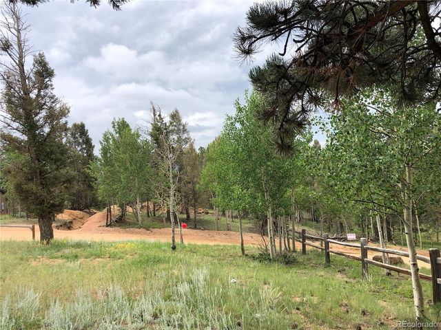 169 Daisy Street, Woodland Park, CO 80863