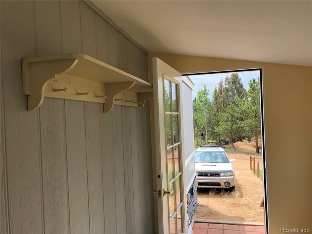 169 Daisy Street, Woodland Park, CO 80863