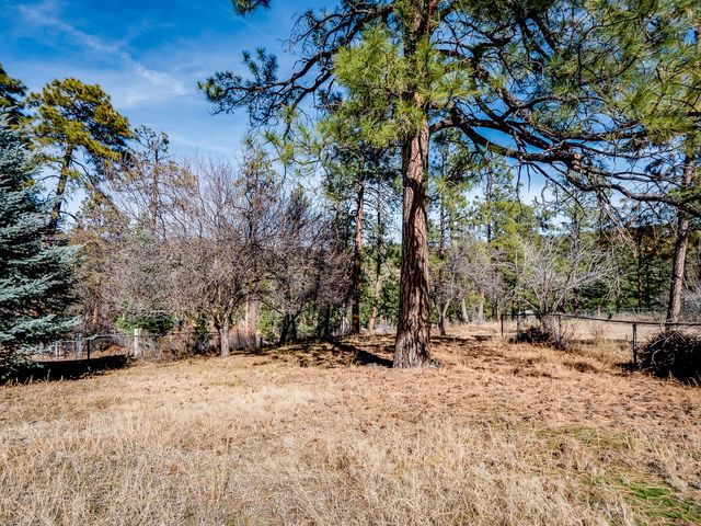 3050 Walnut Street A, Los Alamos, NM 87544