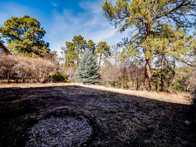 3050 Walnut Street A, Los Alamos, NM 87544