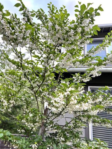 29619 120th Ct SE, Auburn, WA 98092