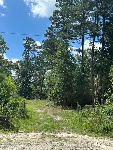 170 Pressley Lane, Hephzibah, GA 30815