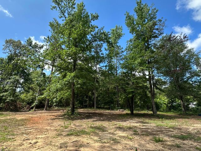 170 Pressley Lane, Hephzibah, GA 30815