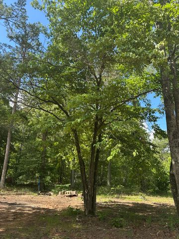 170 Pressley Lane, Hephzibah, GA 30815