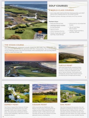 7416 Indigo Palms Way, Johns Island, SC 29455