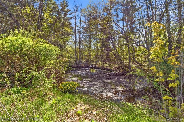 3295 Burning Tree Lane, Attica, MI 48412