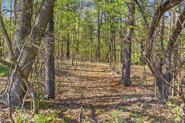 3295 Burning Tree Lane, Attica, MI 48412
