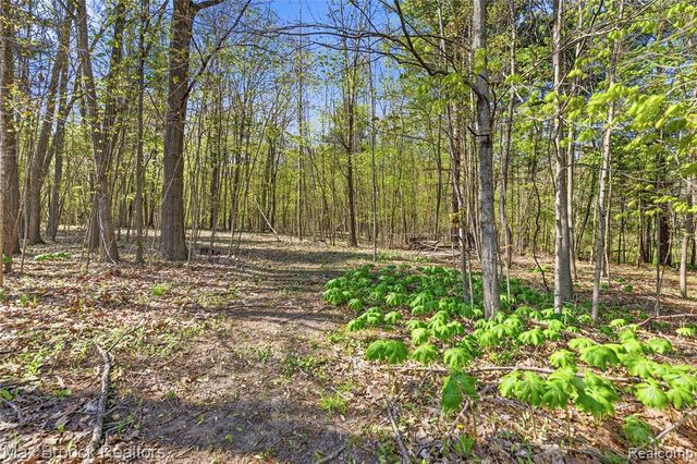 3295 Burning Tree Lane, Attica, MI 48412