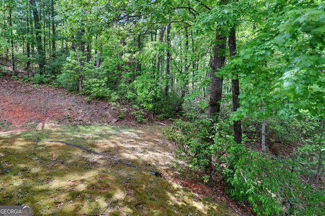 1661 E Boggs Mountain Road, Tiger, GA 30576