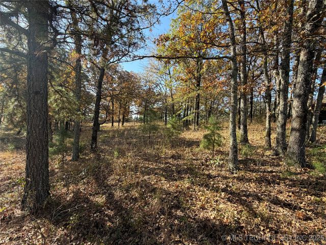 15568 S Highway 109A, Boswell, OK 74727