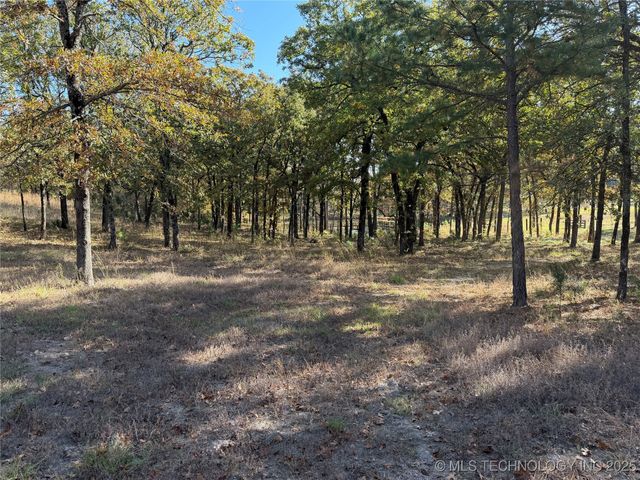 15568 S Highway 109A, Boswell, OK 74727