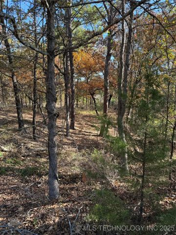 15568 S Highway 109A, Boswell, OK 74727