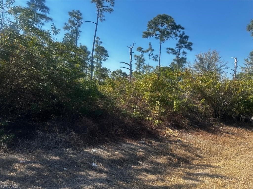460 Lackey AVE S, LEHIGH ACRES, FL 33974 — exterior
