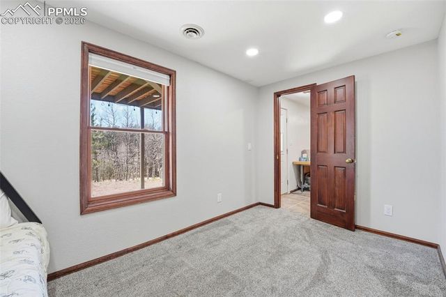 164 Aspen Circle, Divide, CO 80814