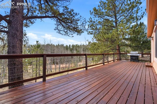 164 Aspen Circle, Divide, CO 80814