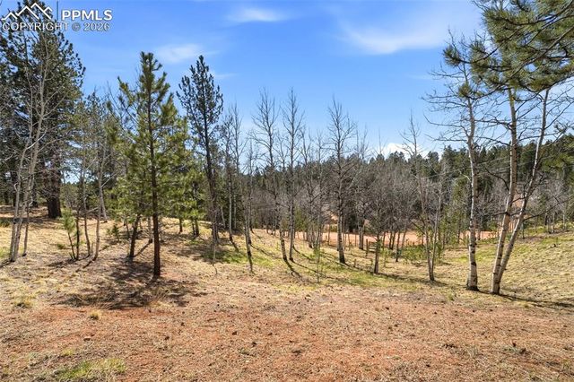 164 Aspen Circle, Divide, CO 80814