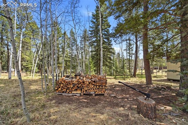 164 Aspen Circle, Divide, CO 80814