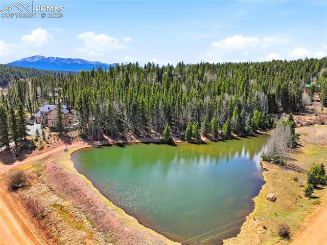 164 Aspen Circle, Divide, CO 80814