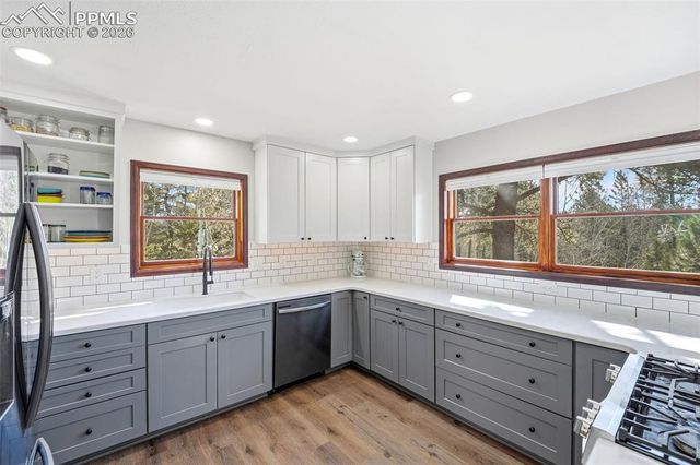 164 Aspen Circle, Divide, CO 80814