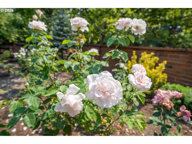 10160 Sw CENTURY OAK Dr, Tigard, OR 97224