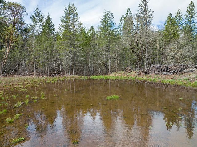 234 Lurline Lane, Cave Junction, OR 97523