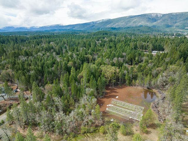 234 Lurline Lane, Cave Junction, OR 97523