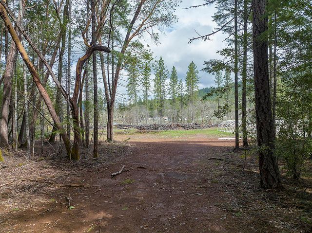 234 Lurline Lane, Cave Junction, OR 97523