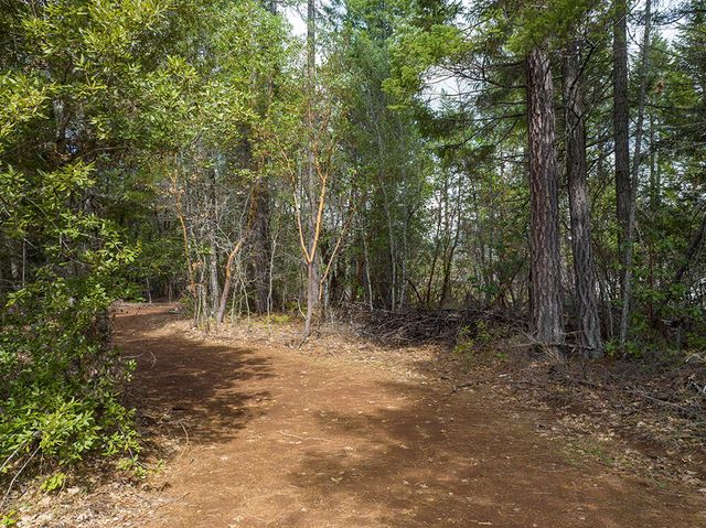 234 Lurline Lane, Cave Junction, OR 97523