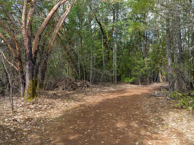 234 Lurline Lane, Cave Junction, OR 97523