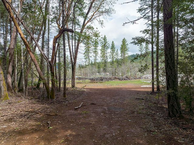 234 Lurline Lane, Cave Junction, OR 97523