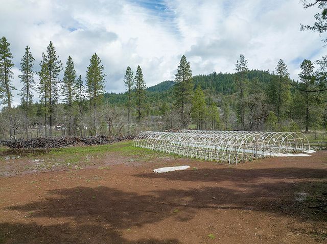 234 Lurline Lane, Cave Junction, OR 97523