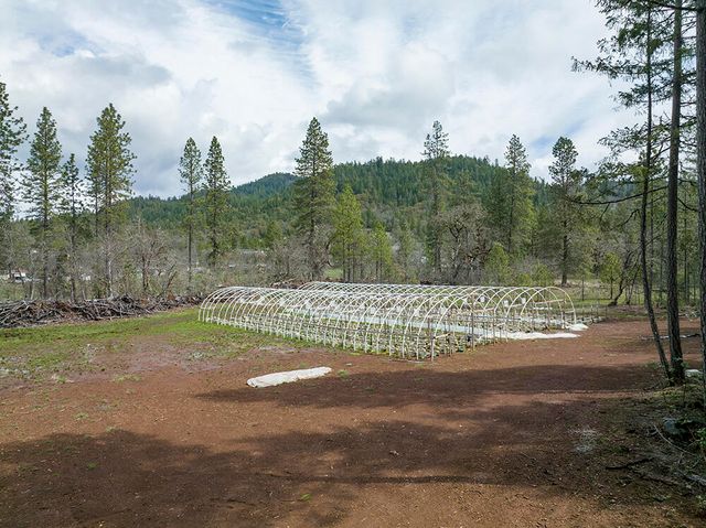 234 Lurline Lane, Cave Junction, OR 97523
