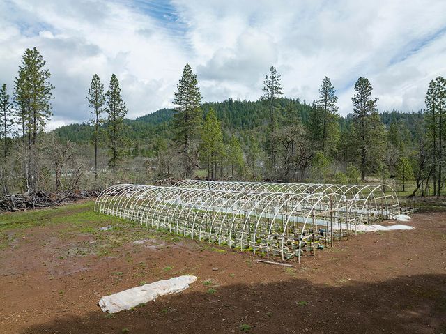 234 Lurline Lane, Cave Junction, OR 97523