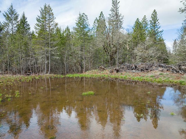 234 Lurline Lane, Cave Junction, OR 97523