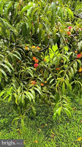 1069 CHEWS LANDING, Laurel Springs, NJ 08021